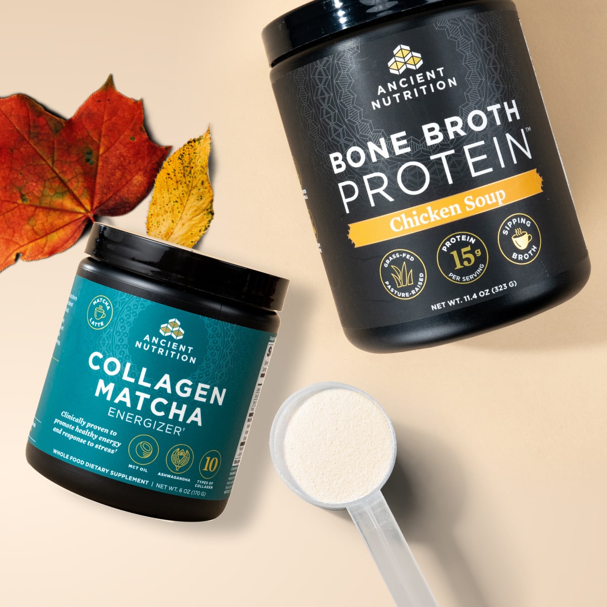 Collagen Matcha & Bone Broth protein with fall leaves
