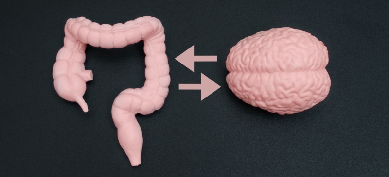 Gut-brain connection