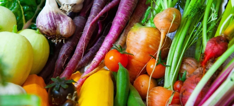 Summer foods