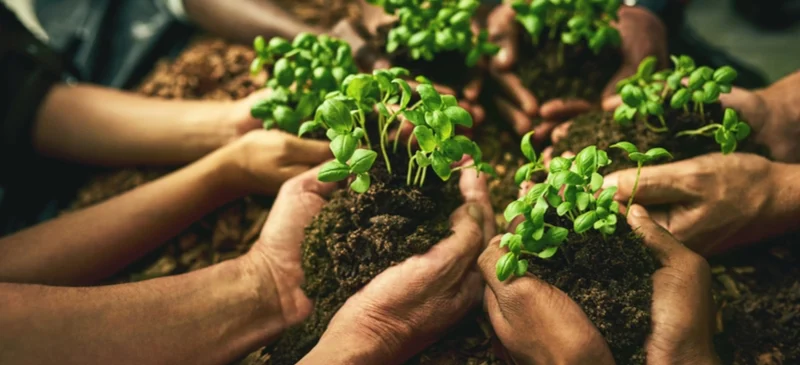 Regenerative Organic Certified supplements