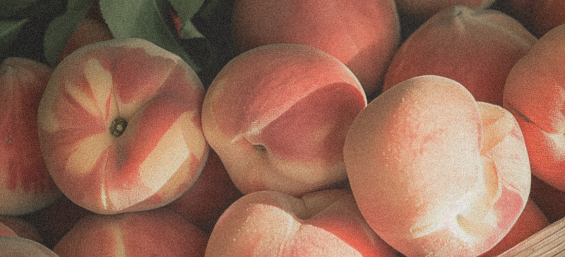 July seasonal produce