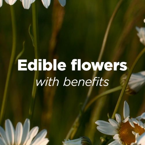 edible flowers with benefits