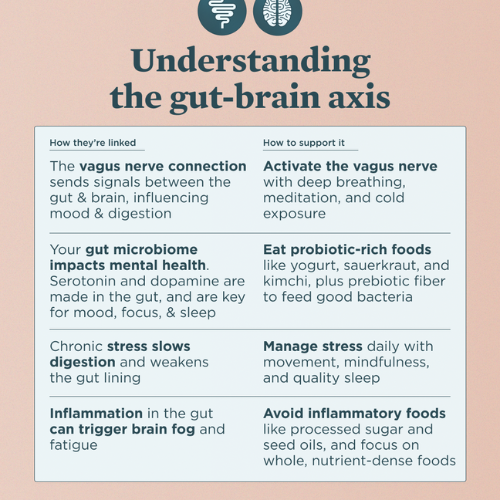 understand the gut-brain axis