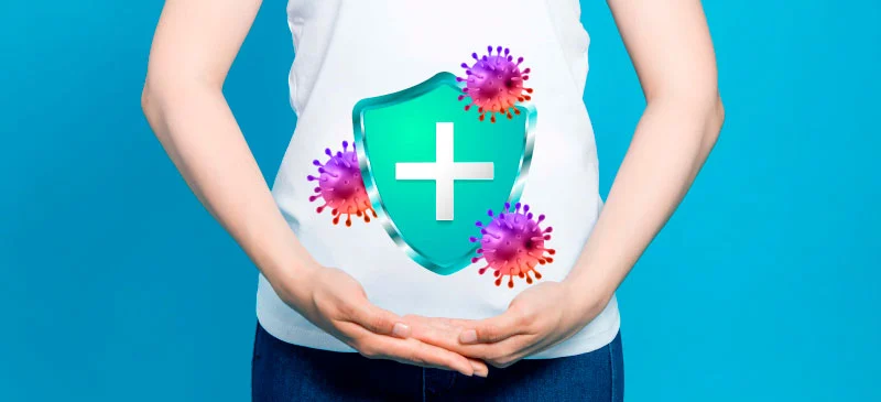 Gut–immune system connection