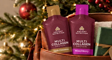 Multi collagen protein gel pack in a leather bag
