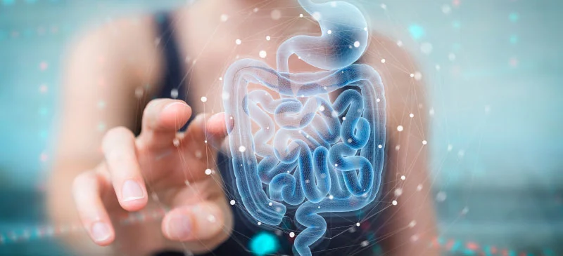 Prebiotics, probiotics and postbiotics