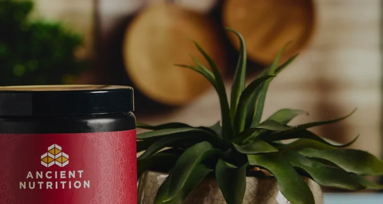 multi collagen protein powder next to a plant