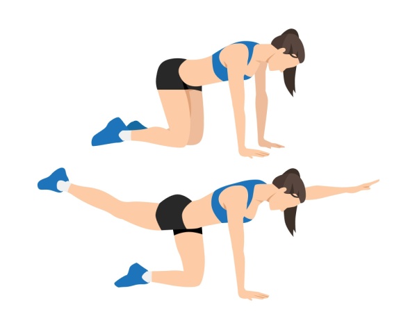 Bird dog exercise
