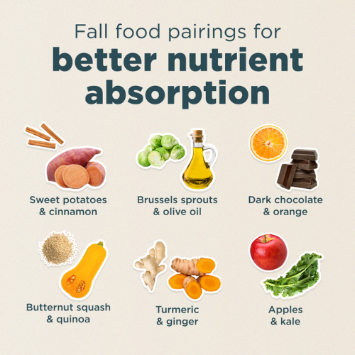 food pairings for better nutrient absorption