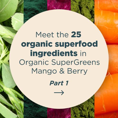 meet the 25 organic superfood ingredients