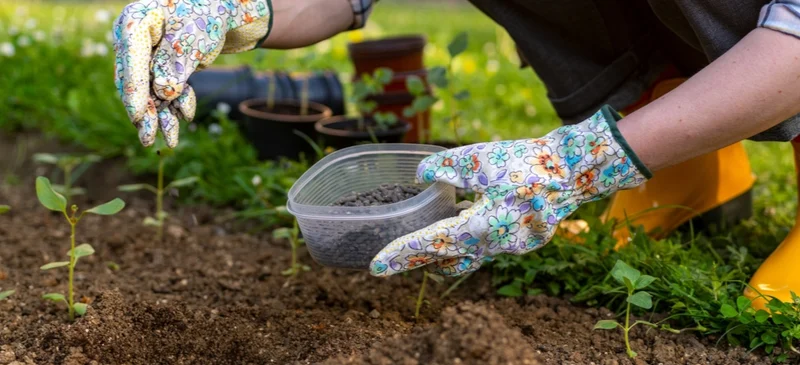 How to start a garden
