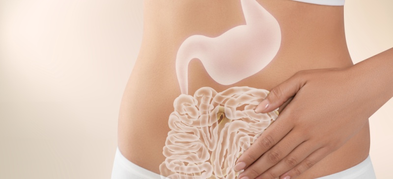 Gut health and weight loss