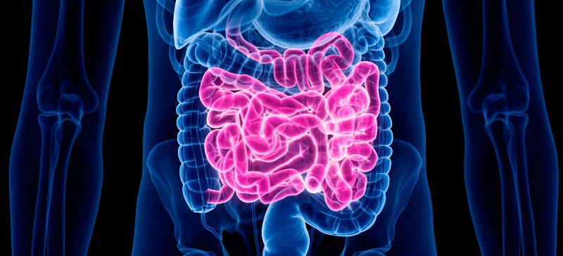 Soil based probiotics