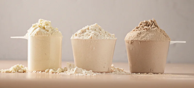 Benefits of protein powder