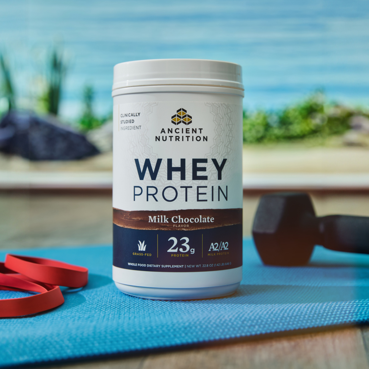 a bottle of whey protein powder chocolate