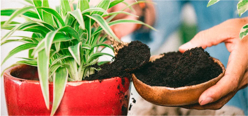 Anarticletemplate Coffeegrounds Header Jpg