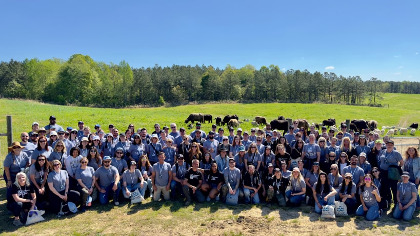 Ancient Nutrition team