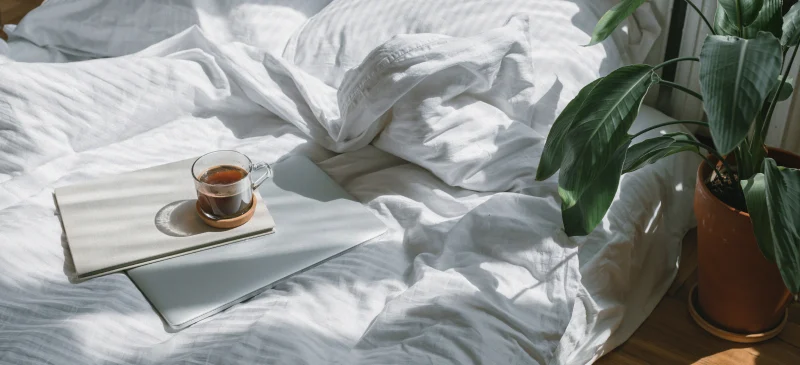 Slow morning rituals