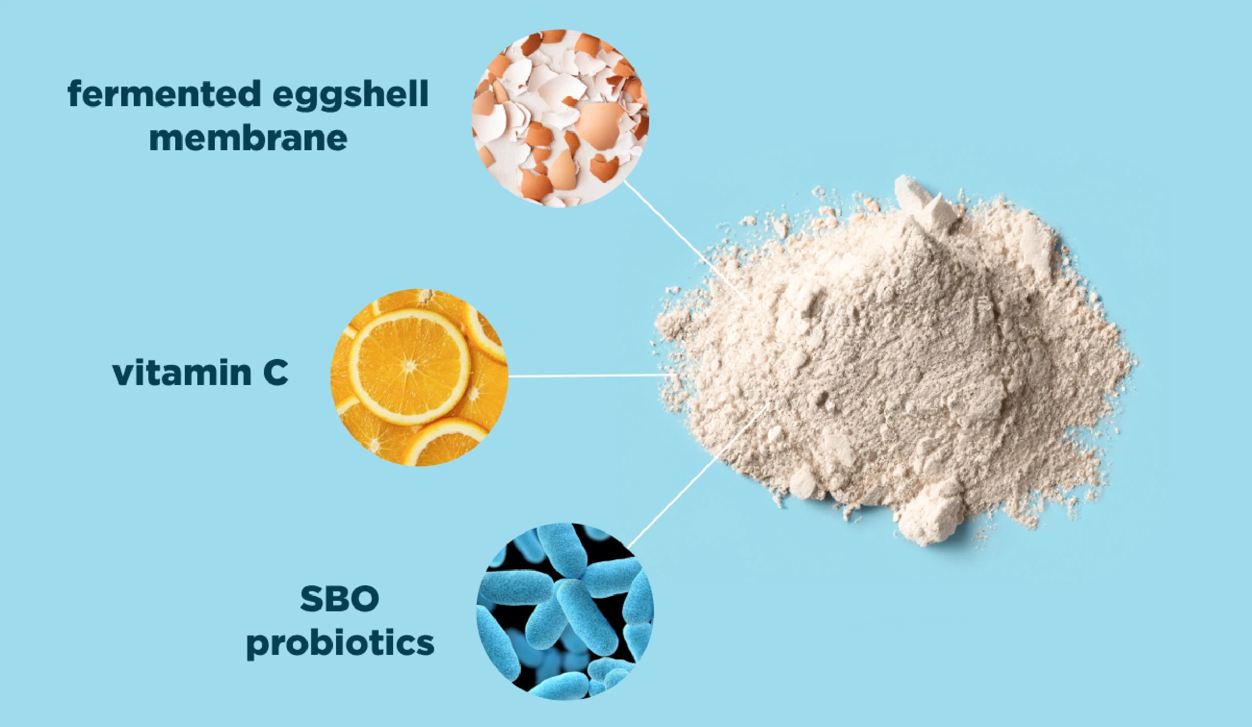 a scoop of multi collagen protein powder with ingredients called out