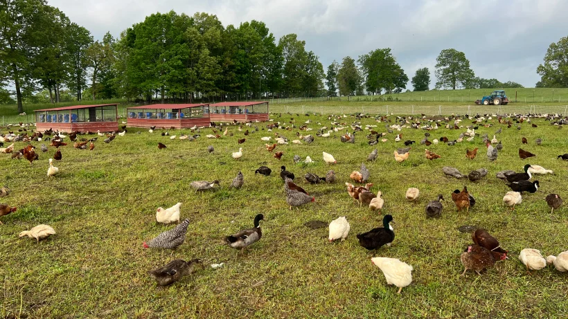 ranch-photo-carousel---desktop---820x461-4-compressed