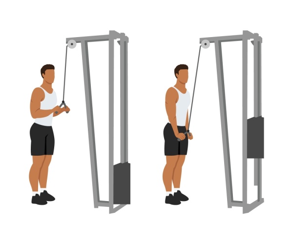 Triceps pushdown