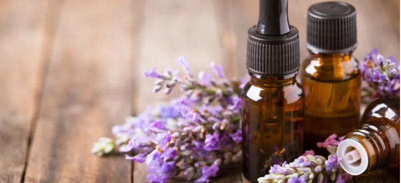Lavenderoil Header Jpg