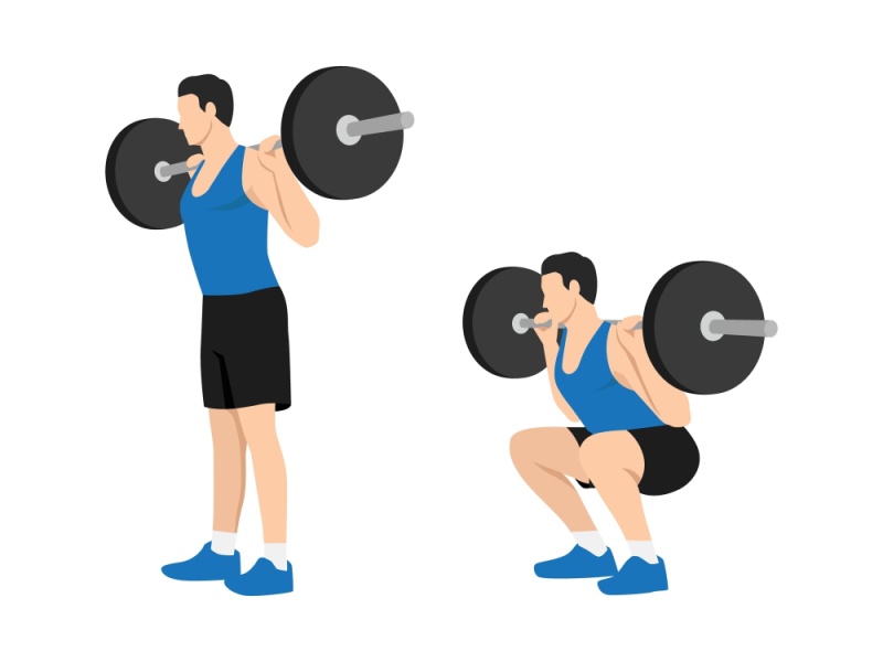 Barbell squat