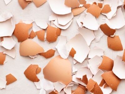 Eggshells