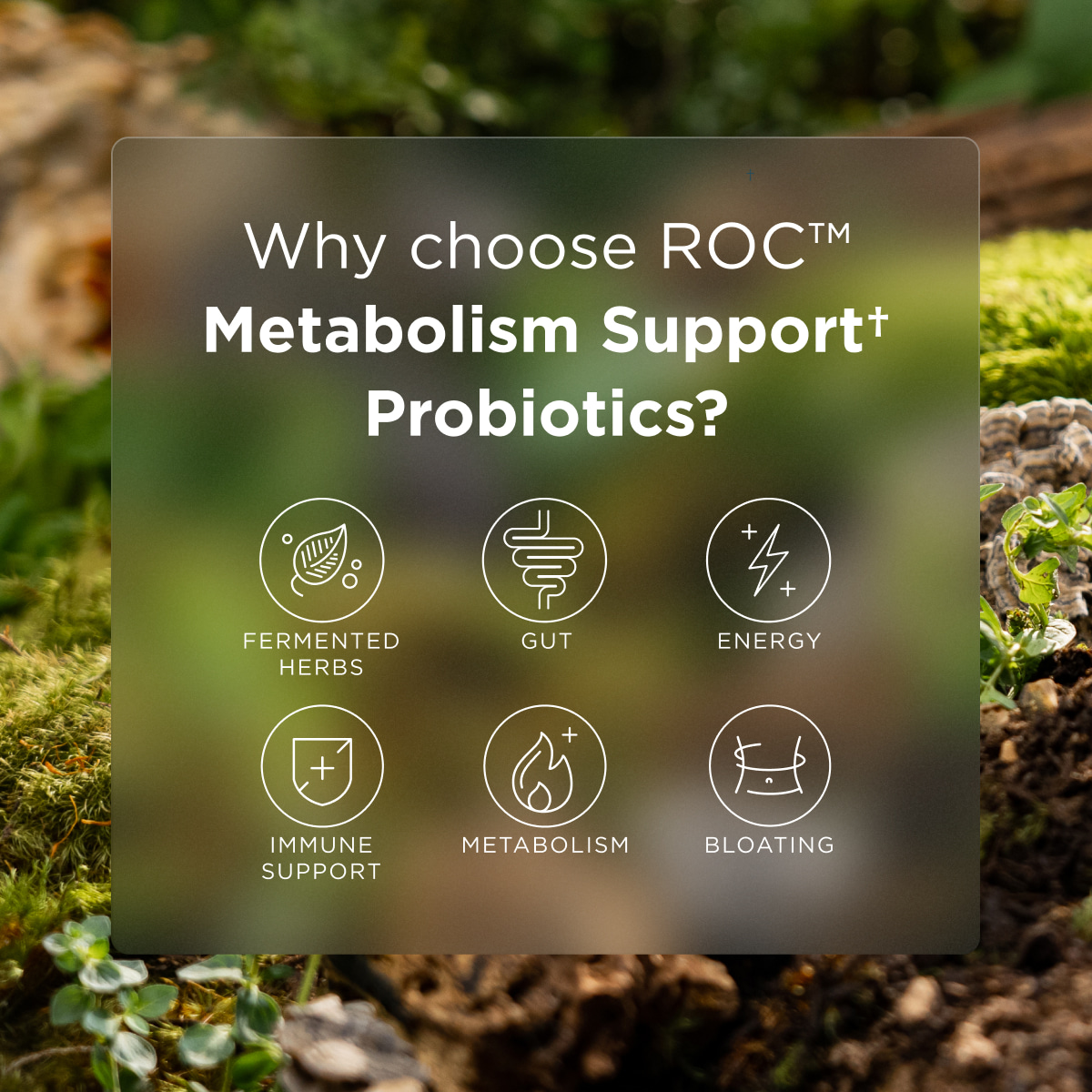 Regenerative Organic Certified™ Metabolism Support Probiotics benefits