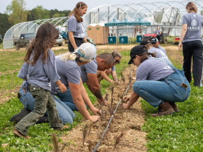 people working on the farrm