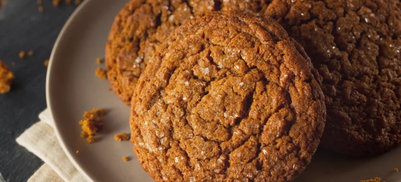 Soft gingerbread cookies