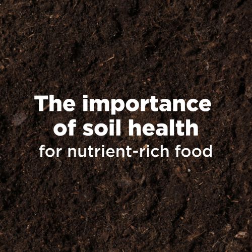 The importance of soil health 