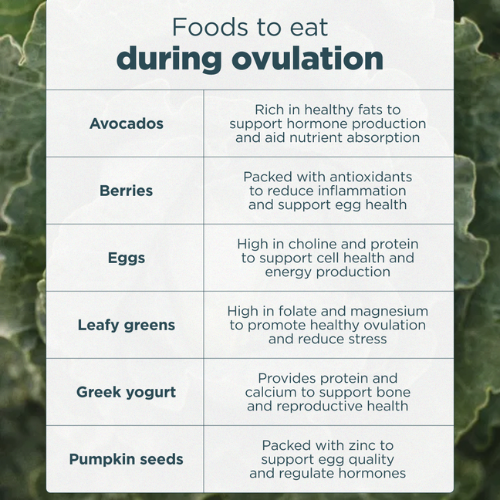 foods to eat during ovulation