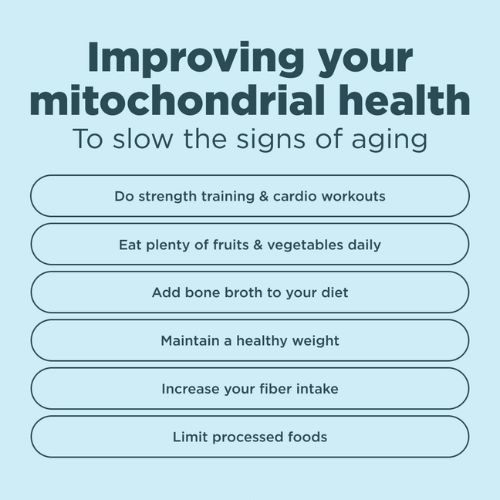 improving your mitochondrial health