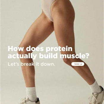 how does protein actually build muscle?