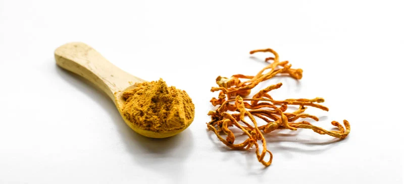 Cordyceps Jpg