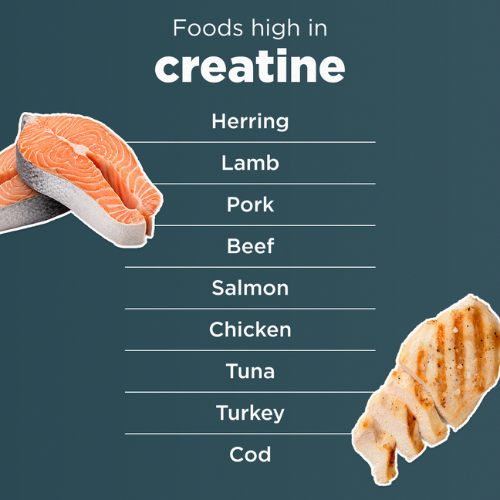 creatine + collagen