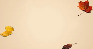 tan background with red and yellow leaves