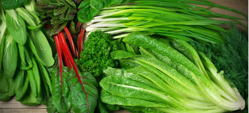 Ketofiberfoods Header Jpg