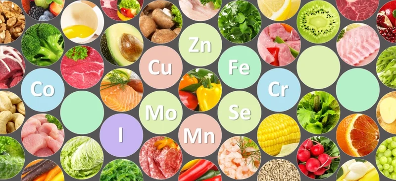 How many minerals does the body need?