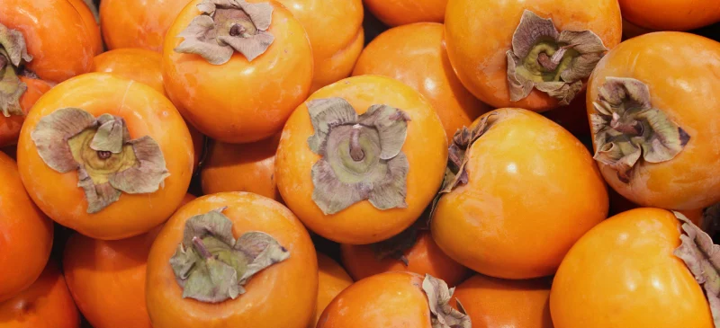 October produce