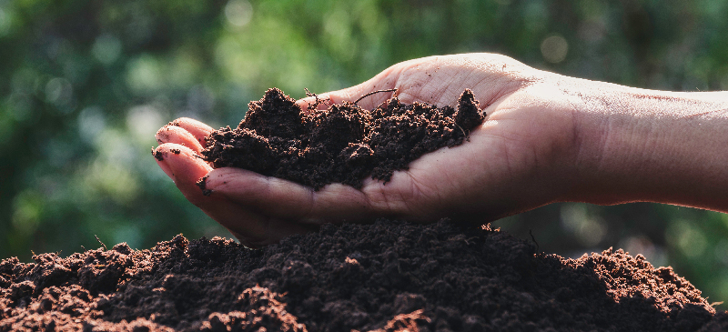 Sustainability at home: A beginner's guide to composting