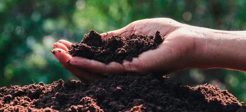 Home composting