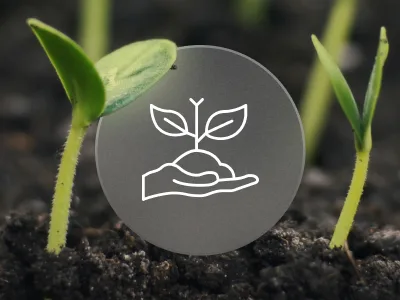healthy soil