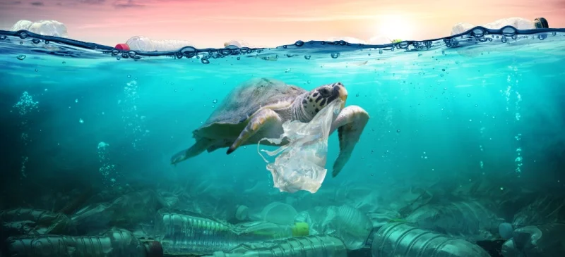 How to use less plastic