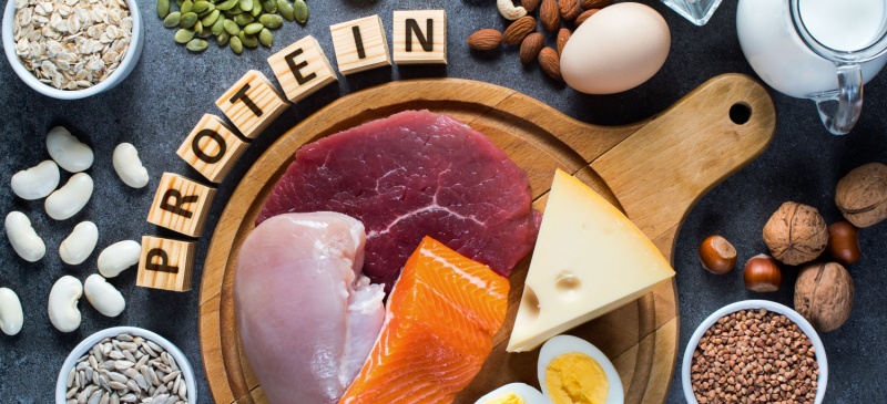 Protein benefits for healthy aging