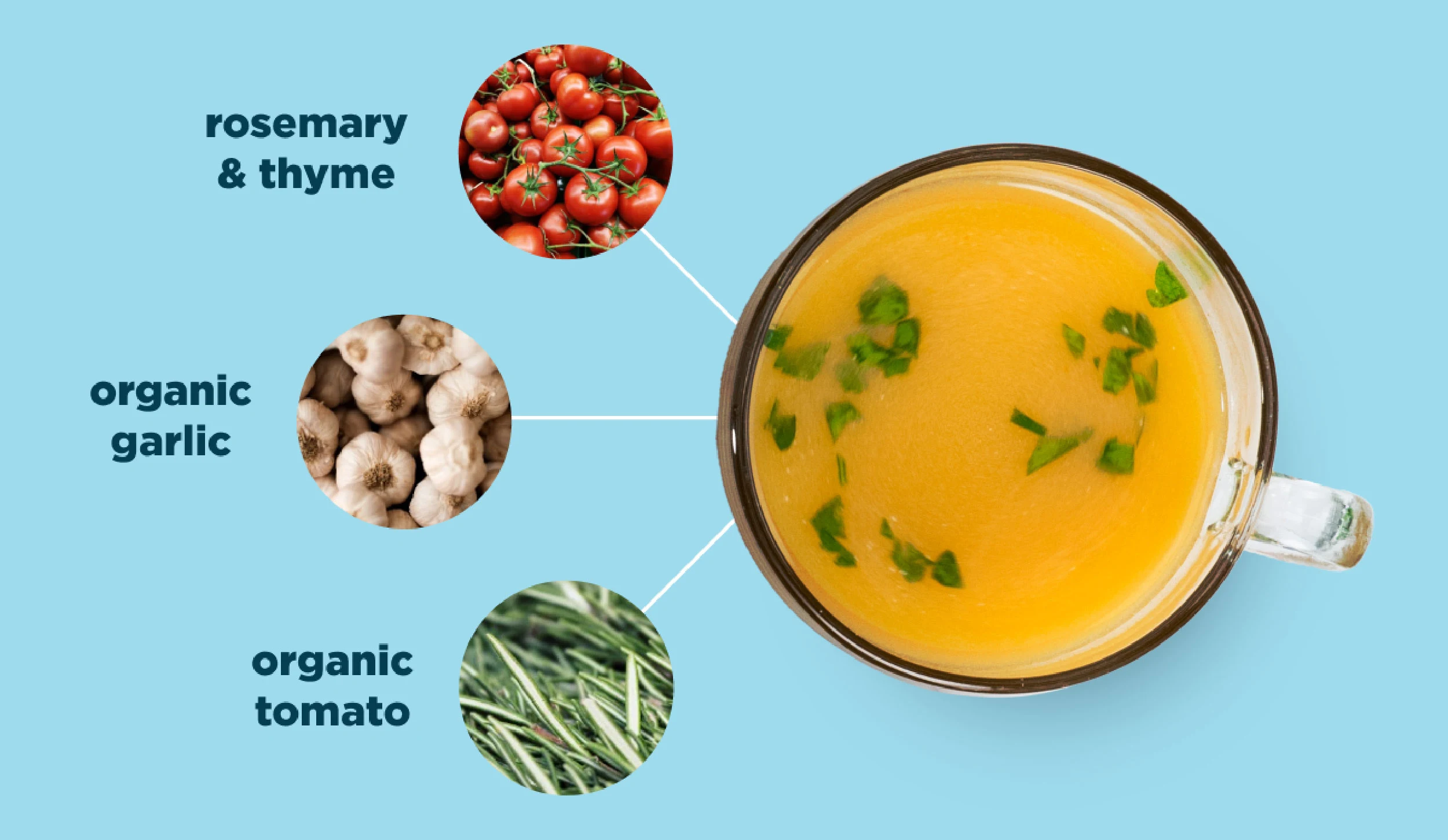 Bone Broth Protein flavors