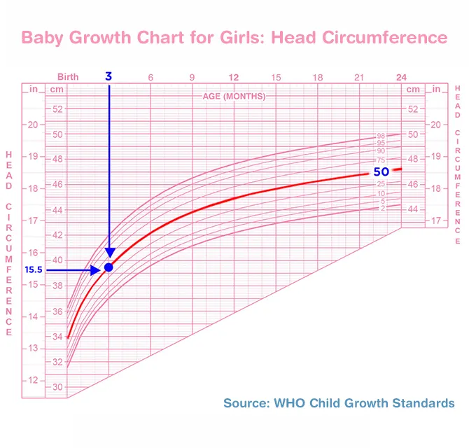 مخطط نمو الطفل للفتيات: محيط الرأس