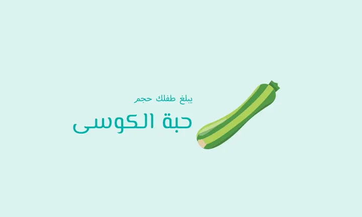 يبلغ طفلك حجم حبة الكوسى