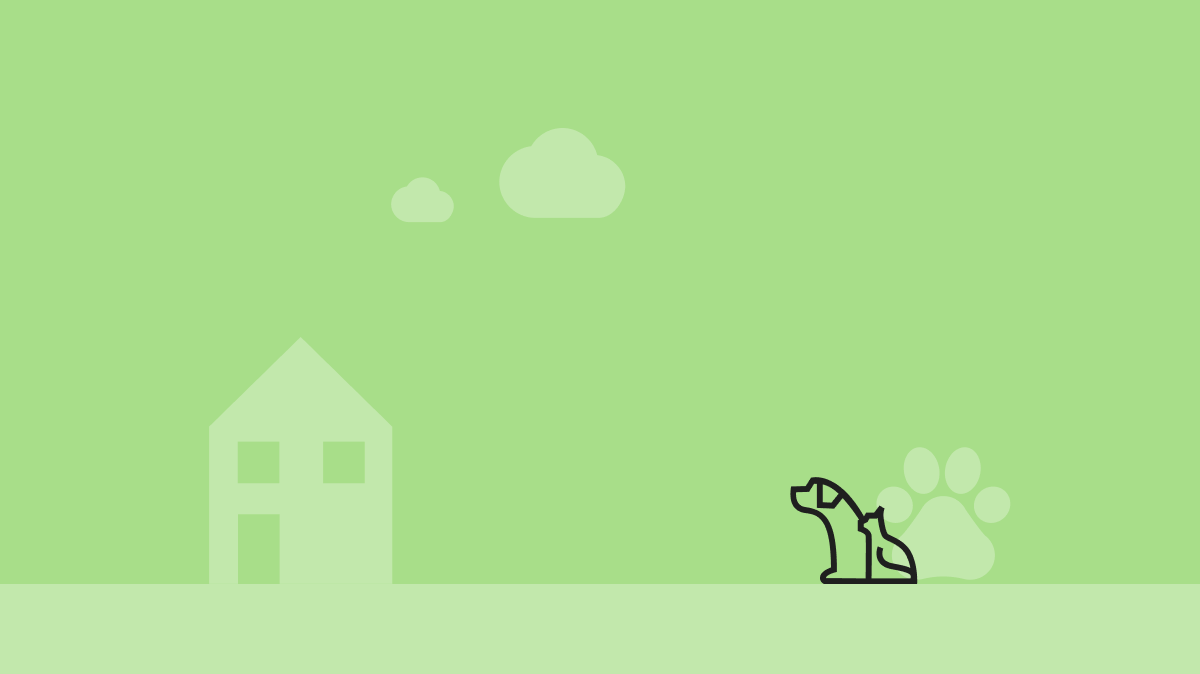 Pet Insurance Cashback & Voucher Codes Quidco